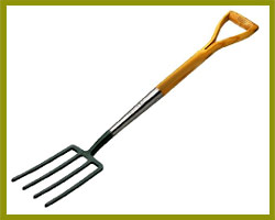 Border Fork